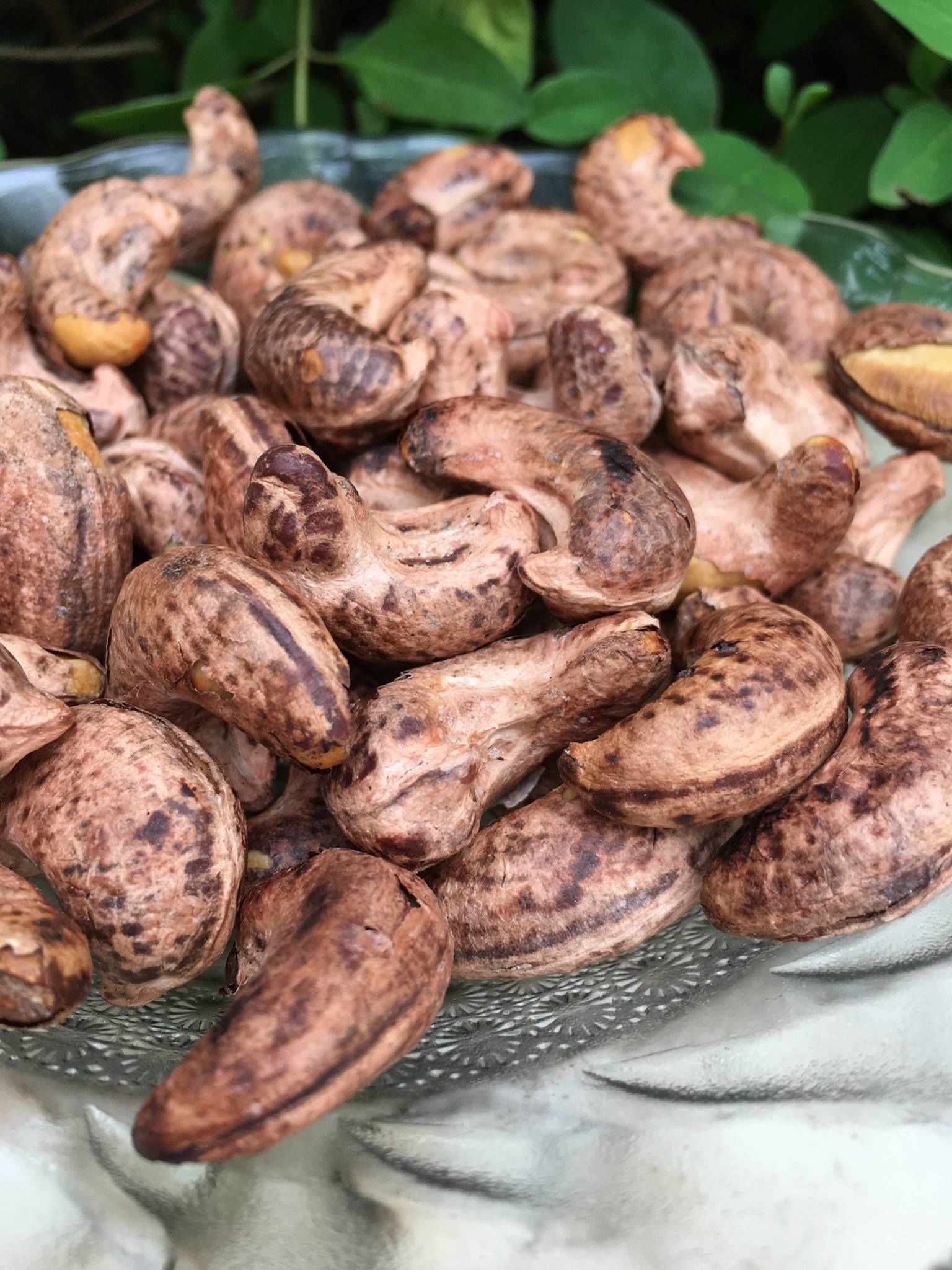 Kết quả hình ảnh cho thông tin hạt điều a+