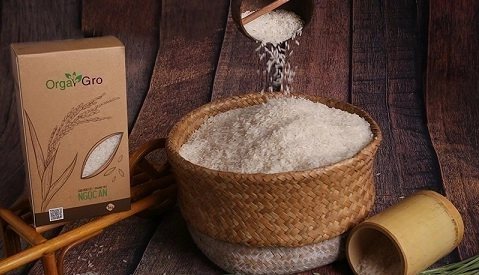 QUY TRÌNH SẢN XUẤT GẠO HỮU CƠ