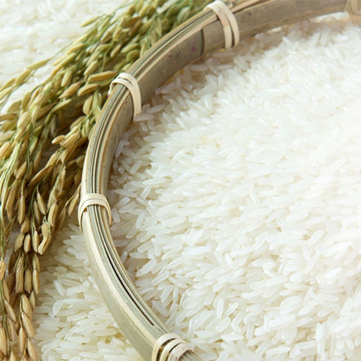 Thành phần của hạt Gạo