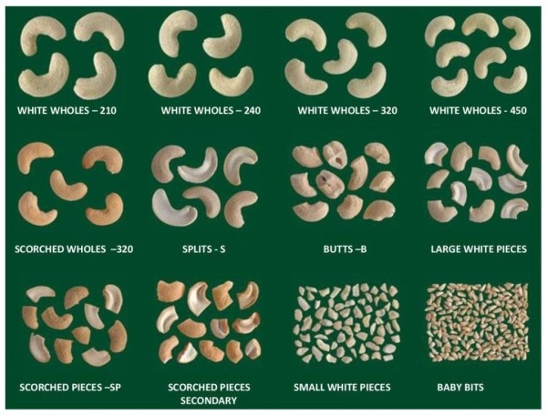 Phân Loại Hạt Điều, Hạt Điều Có Những Loại Nào?
