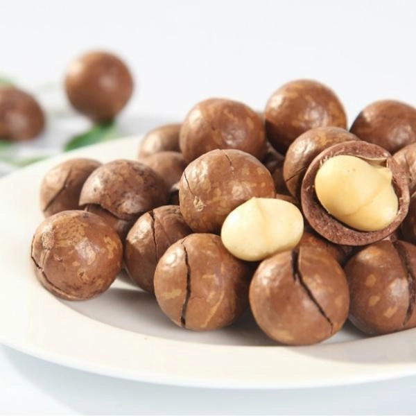 Tác dụng bất ngờ từ hạt Mắc ca (Macadamia)