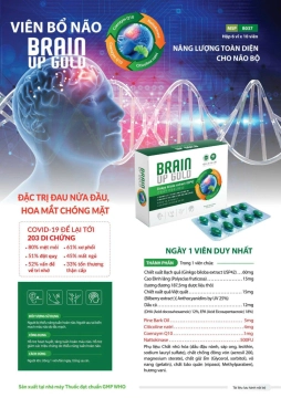 Viên uống Brain Up gold Vshine - hỗ trợ hoạt huyết dưỡng não - Hộp 6 vỉ x 10 viên-MKPMC
