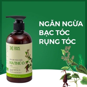 Dầu gội thảo dược Hà thủ ô Cân Bằng Sắc Tố Melanin Cocayhoala 450g Ha Chi Organic