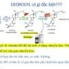 Vitamin D3 Thế Hệ Mới Dedrogyl 10ml