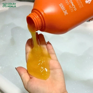 Sữa Tắm Thảo Dược Hữu Cơ Gừng Nghệ Cỏ Cây Hoa Lá - Làm Sạch Sâu, Mờ Thâm Mụn 500gr