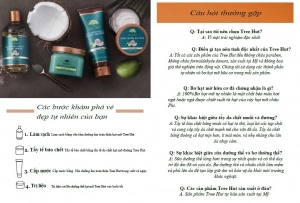 Dầu tắm dưỡng ẩm Tree Hut Shea Moisturizing Body Wash Coconut Lime - 725057