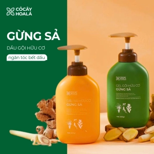 COMBO GỘI XẢ HỮU CƠ GỪNG SẢ _ CỎ CÂY HOA LÁ 500g