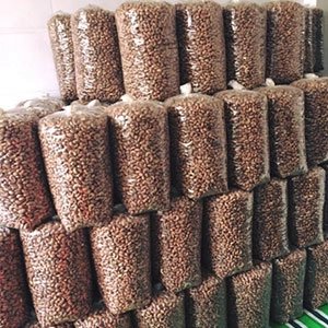 Hạt điều rang muối vỏ lụa Hachi hàng xá loại A