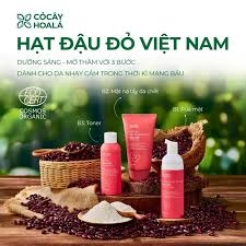 Combo Mặt Nạ Tẩy Tế Bào Chết 2in1, Sữa Rửa Mặt, Toner Đậu Đỏ Hữu Cơ CỎ CÂY HOA LÁ VIỆT NAM