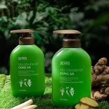 Dầu Gội Thảo Dược Hữu Cơ Cỏ Cây Hoa Lá Gừng Sả Kích Mọc Tóc, Ngăn Tóc Bết Dầu 1000gr