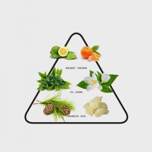 Nước Hoa MDOC  Second Life Parfum 50 ml