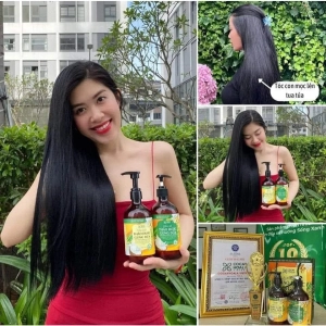 Combo dầu gội xả hữu cơ sạch gàu gừng dừa Cocayhoala làm mềm mượt tóc, , phục hồi hư tổn tóc 440g