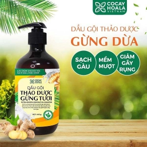 Combo dầu gội xả hữu cơ sạch gàu gừng dừa Cocayhoala làm mềm mượt tóc, , phục hồi hư tổn tóc 440g