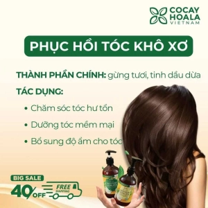 Combo dầu gội xả hữu cơ sạch gàu gừng dừa Cocayhoala làm mềm mượt tóc, , phục hồi hư tổn tóc 440g