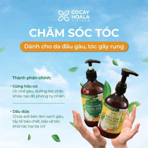 Dầu gội hữu cơ sạch gàu gừng dừa Cocayhoala làm mềm mượt tóc, giảm rụng tóc, phục hồi hư tổn 440g