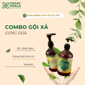 Dầu xả hữu cơ sạch gàu gừng dừa Cocayhoal 440g