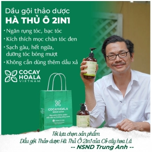 Dầu Gội Thảo Dược Cỏ Cây Hoa Lá Hà Thủ Ô 2in1, Kích Mọc Tóc, Dưỡng Tóc Đen Mượt Túi Refill 2000gr