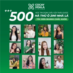 Dầu Gội Thảo Dược Cỏ Cây Hoa Lá Hà Thủ Ô 2in1, Kích Mọc Tóc, Dưỡng Tóc Đen Mượt Túi Refill 2000gr