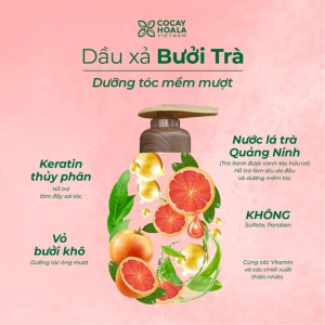 Dầu Gội Bưởi Trà COCAYHOALA , Dưỡng Tóc Chắc Khỏe, Giảm Rụng Tóc Chai 500gr