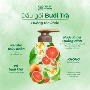 Dầu Gội Bưởi Trà COCAYHOALA , Dưỡng Tóc Chắc Khỏe, Giảm Rụng Tóc Chai 500gr