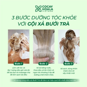 Dầu Gội Bưởi Trà COCAYHOALA , Dưỡng Tóc Chắc Khỏe, Giảm Rụng Tóc Chai 500gr