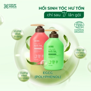 Dầu Gội Bưởi Trà COCAYHOALA , Dưỡng Tóc Chắc Khỏe, Giảm Rụng Tóc Chai 500gr