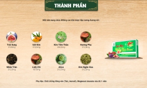 Sỏi mật sỏi thận trái sung - Hỗ trợ tốt chức năng tiêu hóa, bào mòn sỏi, hỗ trợ viêm