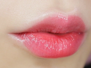 Son dưỡng môi chiết xuất từ trái cây MISS FAIRY