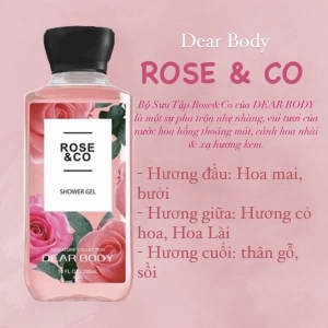 Gel Tắm Nước Hoa DEAR BODY - Dành Cho Nữ - Shower Gel 295ml - ROSE & CO
