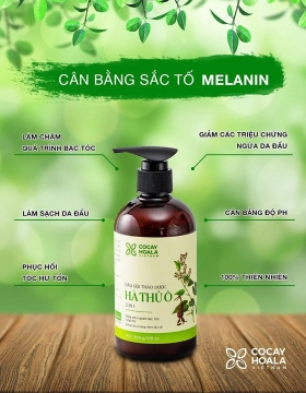 Dầu gội thảo dược Hà thủ ô Cân Bằng Sắc Tố Melanin Cocayhoala 300g Ha Chi Organic