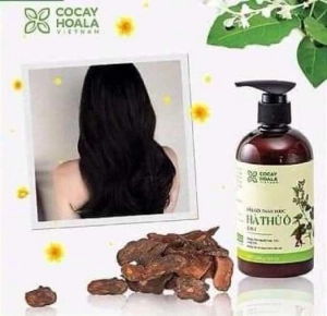 Dầu gội thảo dược Hà thủ ô Cân Bằng Sắc Tố Melanin Cocayhoala 450g Ha Chi Organic