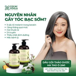 Dầu gội thảo dược Hà thủ ô Cân Bằng Sắc Tố Melanin Cocayhoala 450g Ha Chi Organic